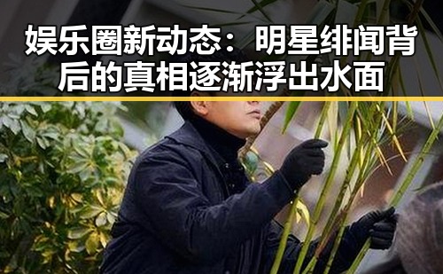娱乐圈新动态：明星绯闻背后的真相逐渐浮出水面