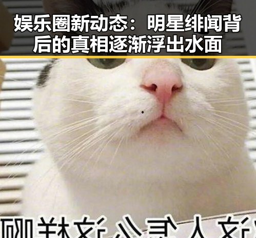 娱乐圈新动态：明星绯闻背后的真相逐渐浮出水面
