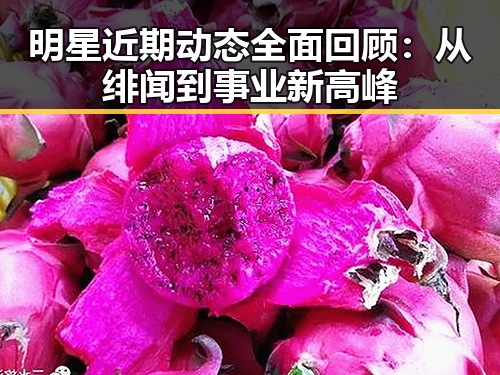 明星近期动态全面回顾：从绯闻到事业新高峰